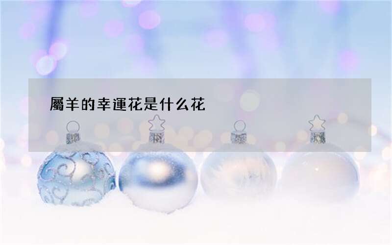 屬羊的幸運花是什么花