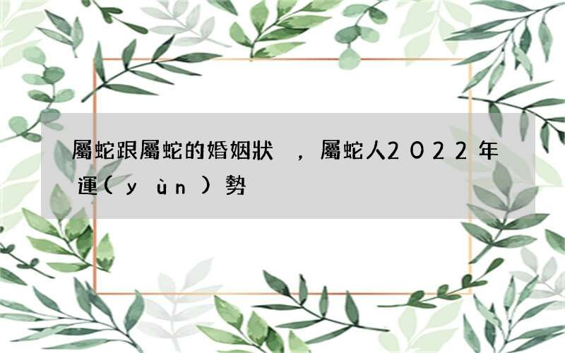 屬蛇跟屬蛇的婚姻狀況，屬蛇人2022 年運(yùn)勢