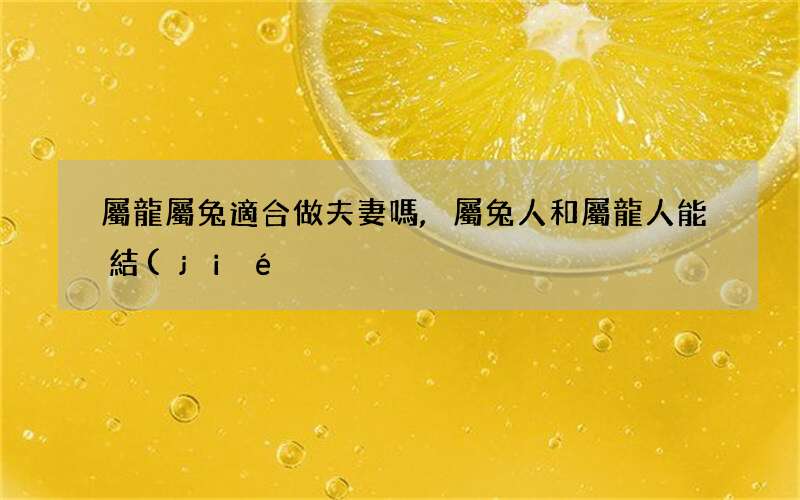 屬龍屬兔適合做夫妻嗎,屬兔人和屬龍人能結(jié)婚嗎