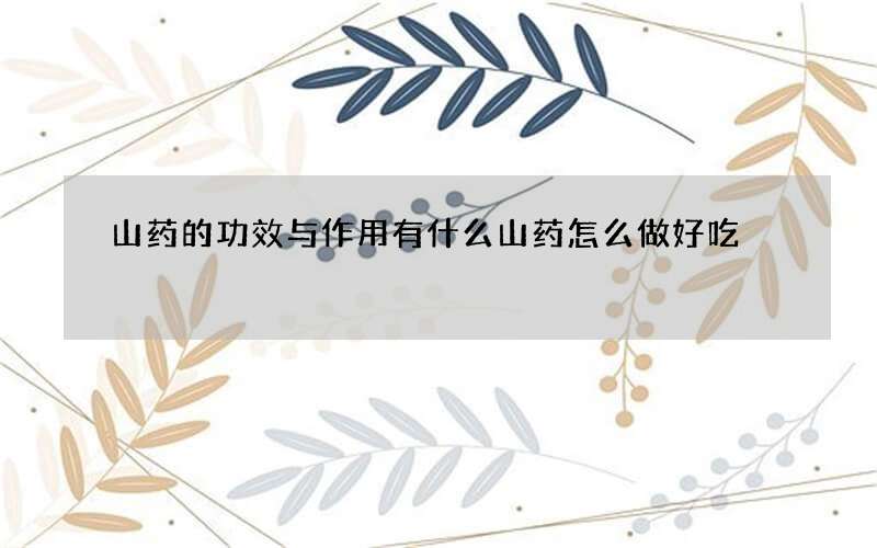山药的功效与作用有什么 山药怎么做好吃