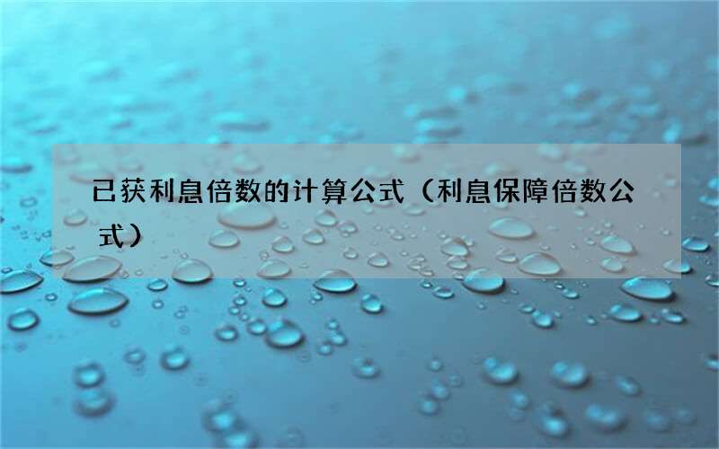 利息保障倍数公式 已获利息倍数的计算公式