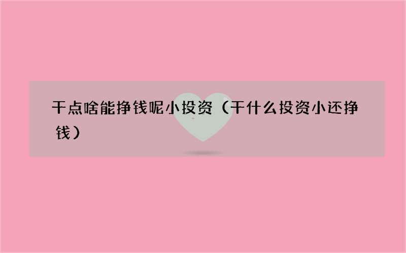 干什么投资小还挣钱 干点啥能挣钱呢小投资