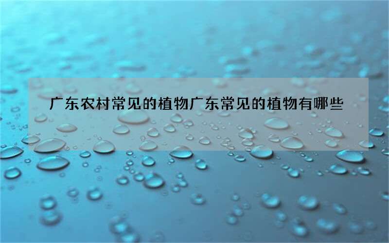 广东农村常见的植物 广东常见的植物有哪些?