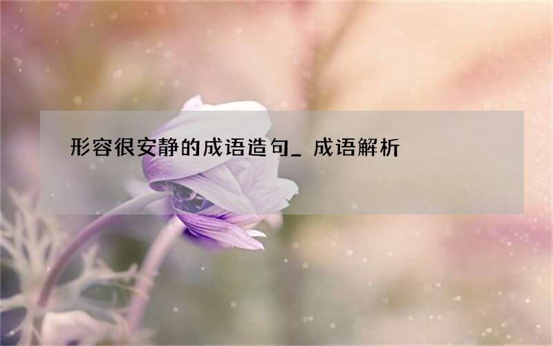 形容很安静的成语造句_成语解析