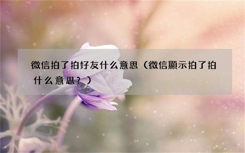 微信顯示拍了拍什么意思？ 微信拍了拍好友什么意思