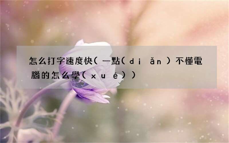 一點(diǎn)不懂電腦的怎么學(xué) 怎么打字速度快