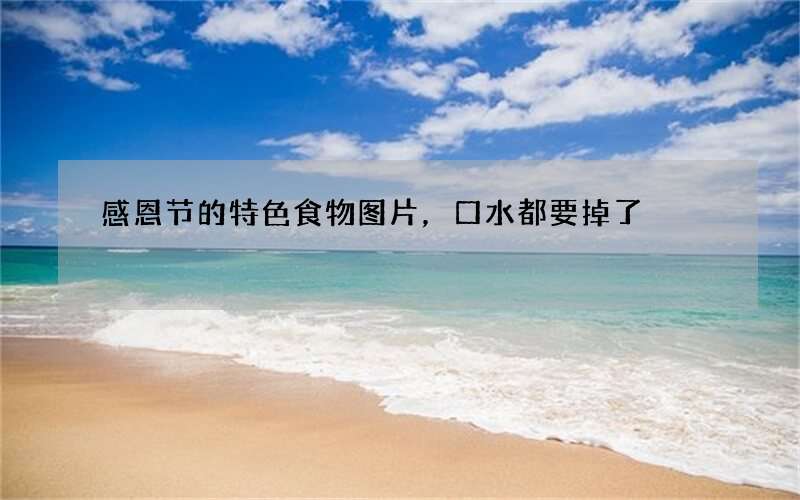 感恩节的特色食物图片，口水都要掉了