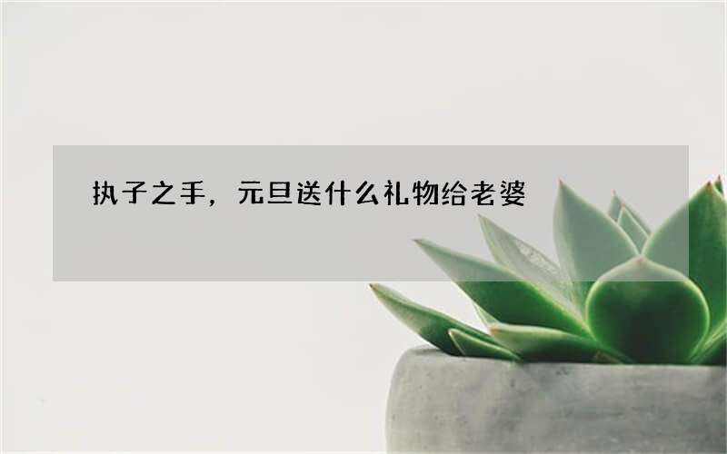 执子之手，元旦送什么礼物给老婆