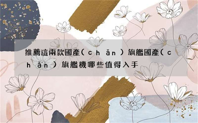 推薦這兩款國產(chǎn)旗艦 國產(chǎn)旗艦機哪些值得入手