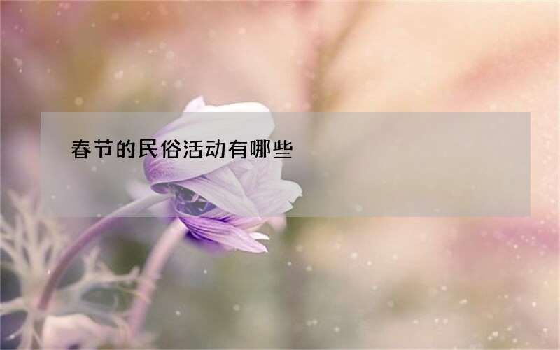 春节的民俗活动有哪些