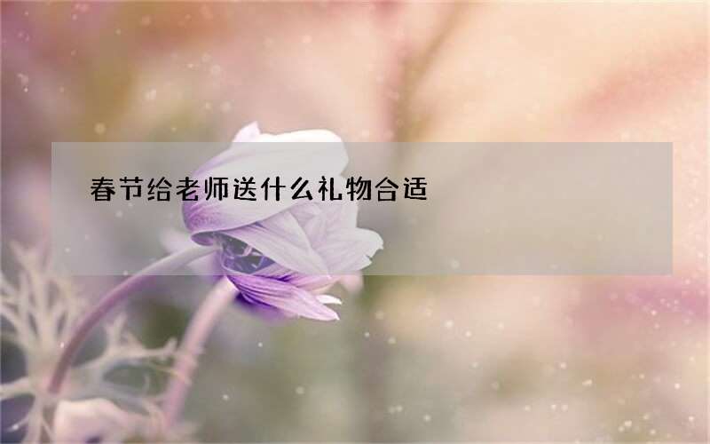 春节给老师送什么礼物合适