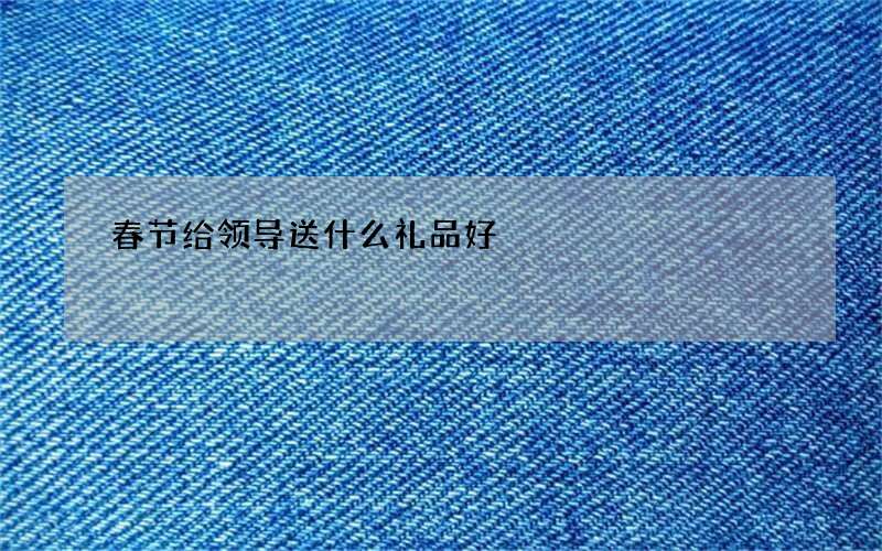 春节给领导送什么礼品好