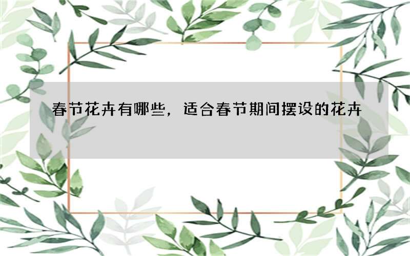 春节花卉有哪些，适合春节期间摆设的花卉