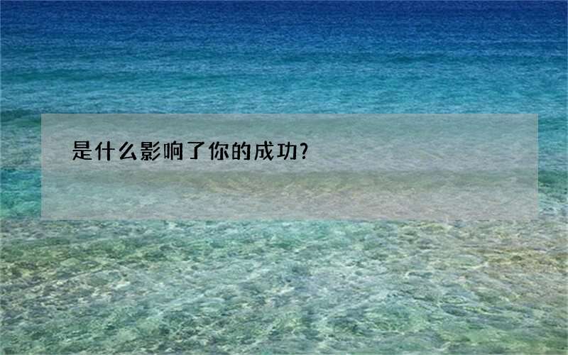 是什么影响了你的成功？