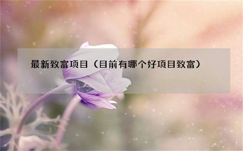 目前有哪个好项目致富 最新致富项目