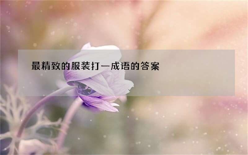 最精致的服装打一成语的答案