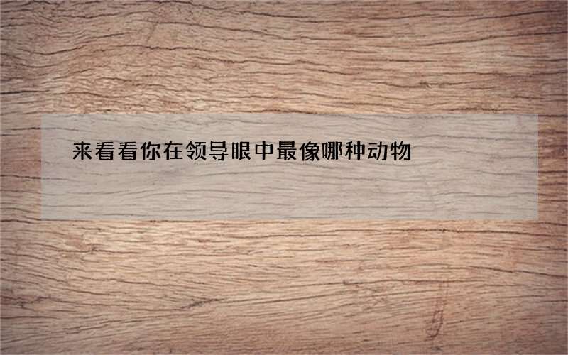 来看看你在领导眼中最像哪种动物