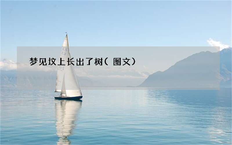 梦见坟上长出了树