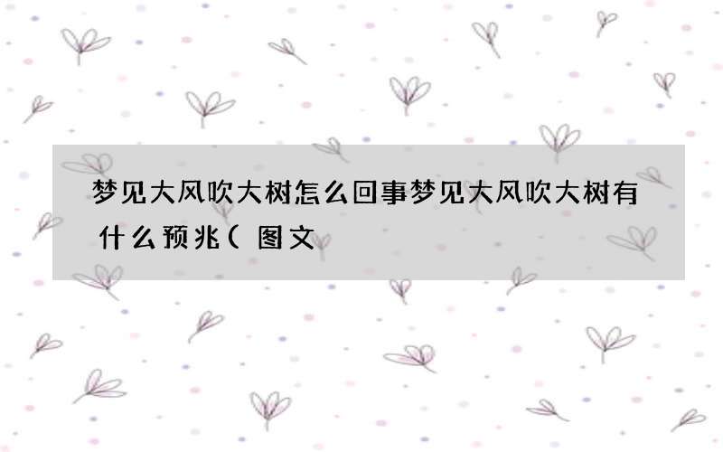 梦见大风吹大树怎么回事 梦见大风吹大树有什么预兆