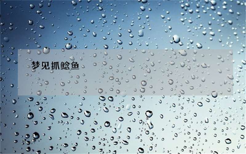 梦见抓鲶鱼