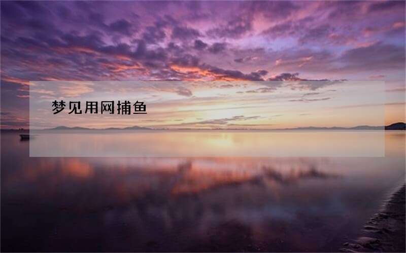 梦见用网捕鱼