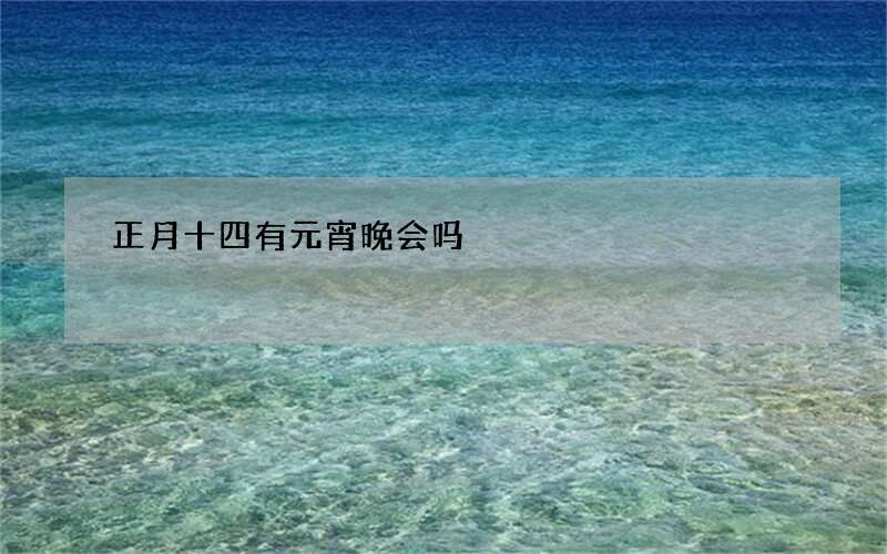 正月十四有元宵晚会吗
