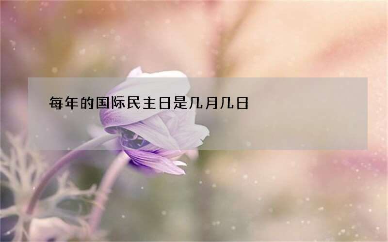 每年的国际民主日是几月几日