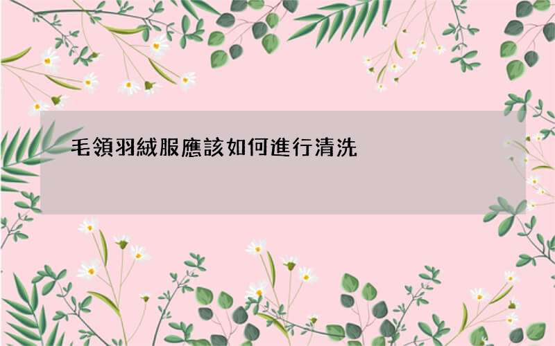 毛領羽絨服應該如何進行清洗