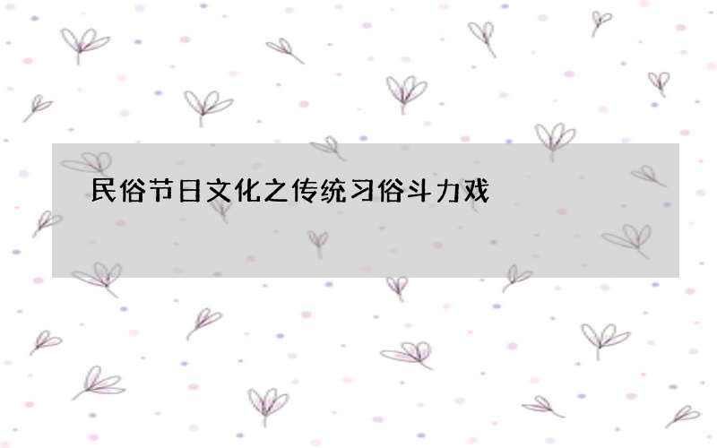 民俗节日文化之传统习俗斗力戏