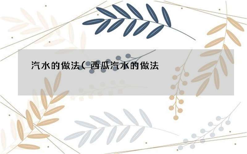 西瓜汽水的做法 汽水的做法