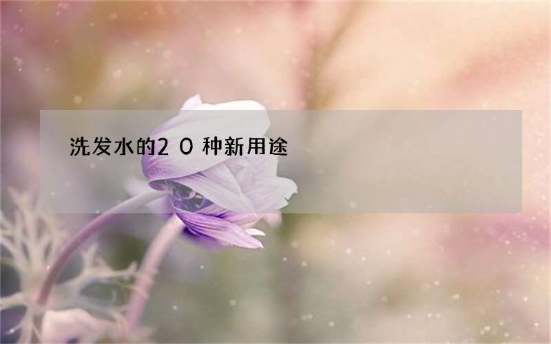 洗发水的20种新用途