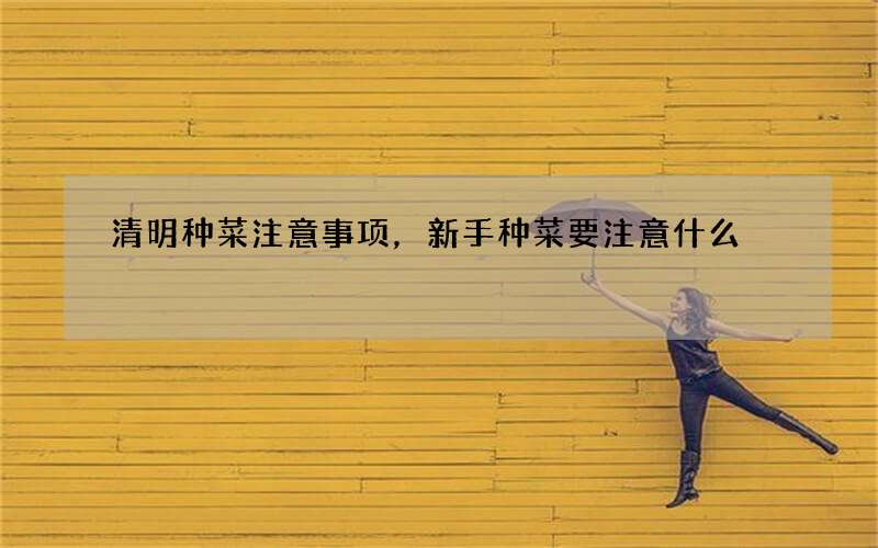 清明种菜注意事项，新手种菜要注意什么