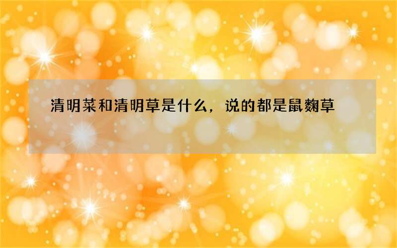 清明菜和清明草是什么，说的都是鼠麴草