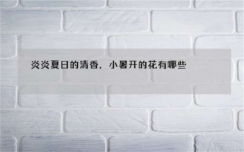 炎炎夏日的清香，小暑开的花有哪些