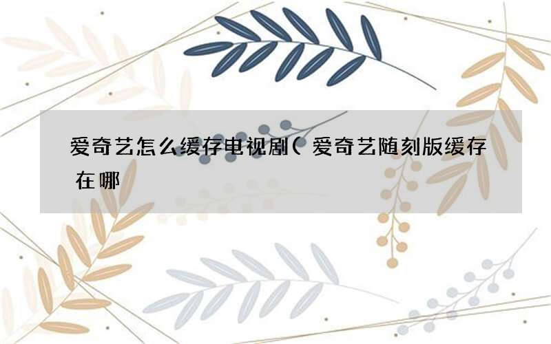 爱奇艺随刻版缓存在哪 爱奇艺怎么缓存电视剧