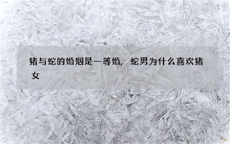 猪与蛇的婚姻是一等婚,蛇男为什么喜欢猪女