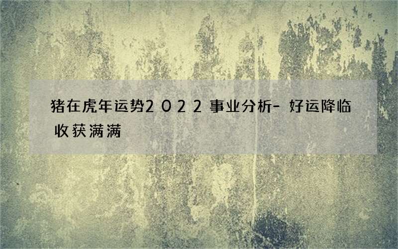 猪在虎年运势2022事业分析-好运降临收获满满