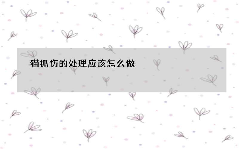 猫抓伤的处理应该怎么做