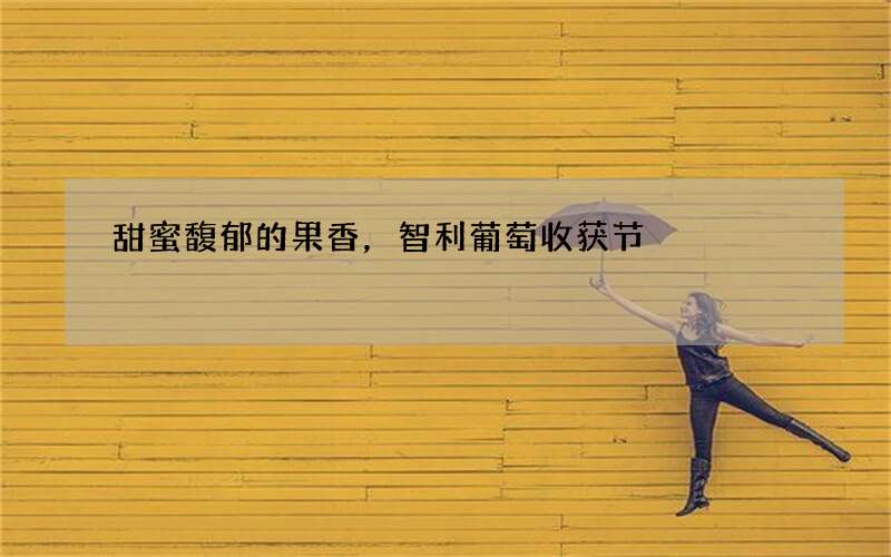 甜蜜馥郁的果香，智利葡萄收获节