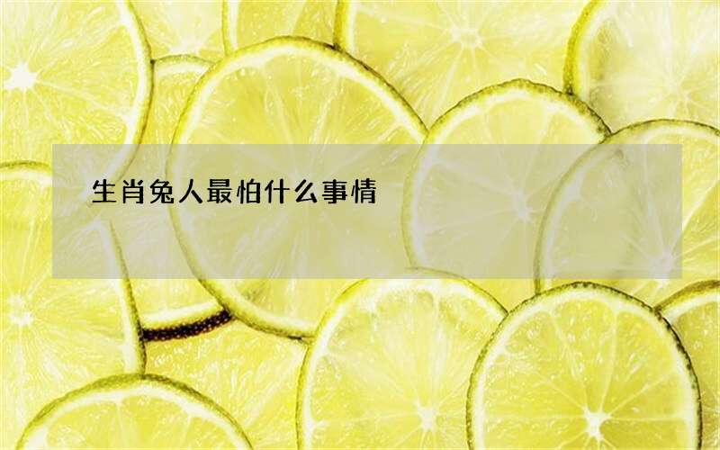 生肖兔人最怕什么事情