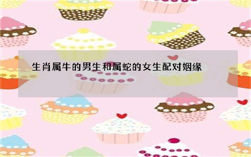 生肖属牛的男生和属蛇的女生配对姻缘