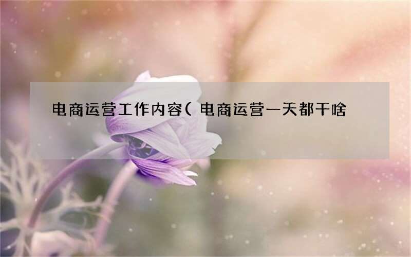 电商运营一天都干啥 电商运营工作内容
