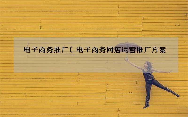 电子商务网店运营推广方案 电子商务推广