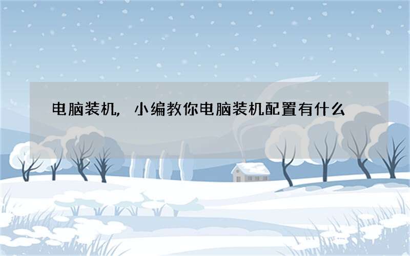 电脑装机,小编教你电脑装机配置有什么