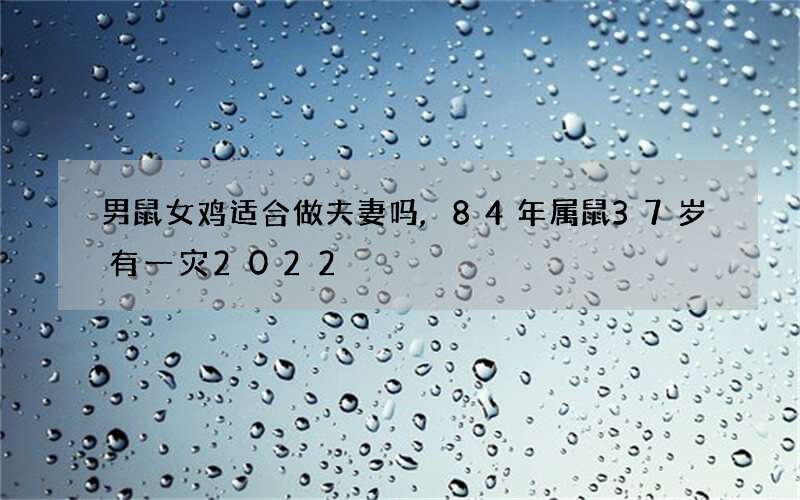 男鼠女鸡适合做夫妻吗,84年属鼠37岁有一灾2022