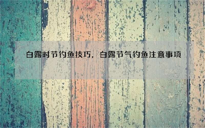 白露时节钓鱼技巧，白露节气钓鱼注意事项