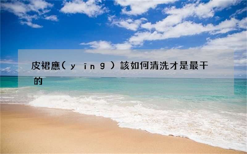 皮裙應(yīng)該如何清洗才是最干凈的