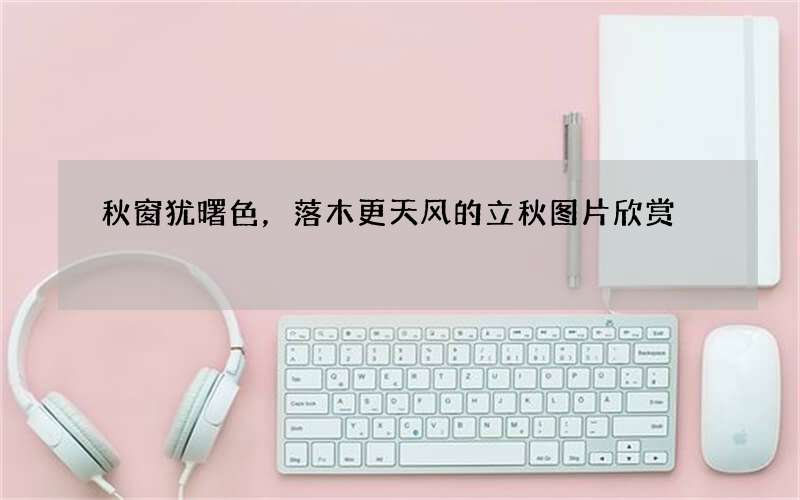 秋窗犹曙色，落木更天风的立秋图片欣赏