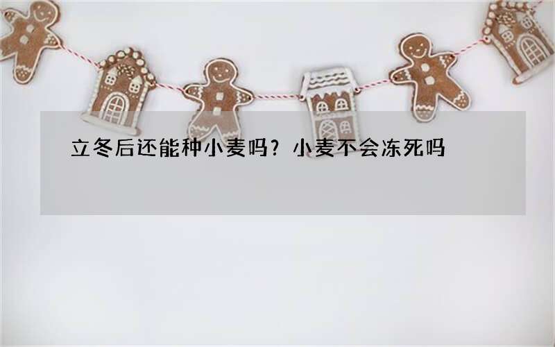 立冬后还能种小麦吗？小麦不会冻死吗