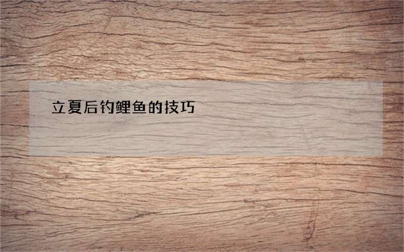 立夏后钓鲤鱼的技巧